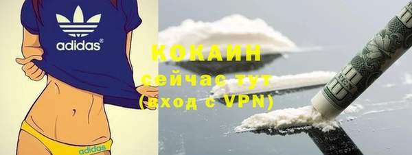 гашик Аркадак