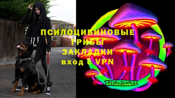 apvp Арсеньев