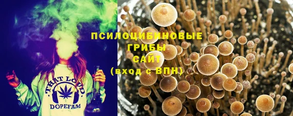 гашик Аркадак
