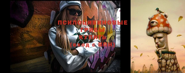 PSILOCYBIN Армянск