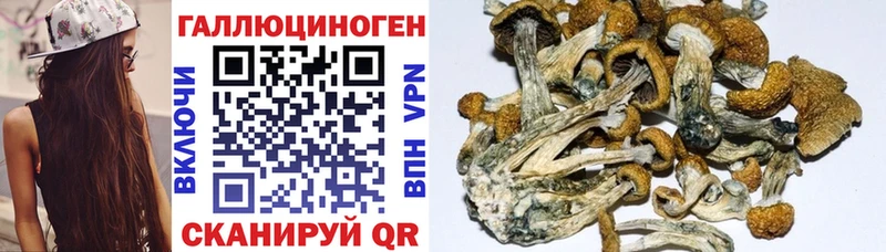площадка формула  Усинск  Галлюциногенные грибы прущие грибы 